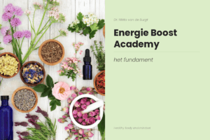 Energie Boost Academy het fundament - online programma van Dr. Nikita van de Burgt voor meer energie via voeding Human Design en supplementen